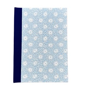 Baby Journal, Blue Stars