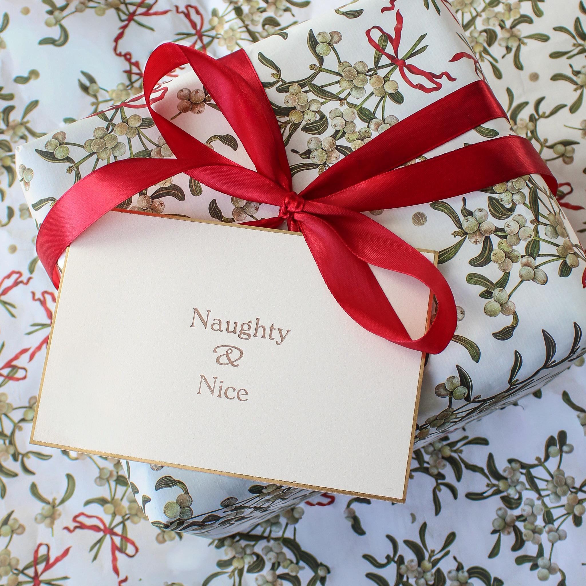 Naughty & Nice Christmas Card